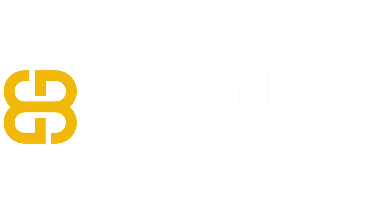 Borderless Banking Logo
